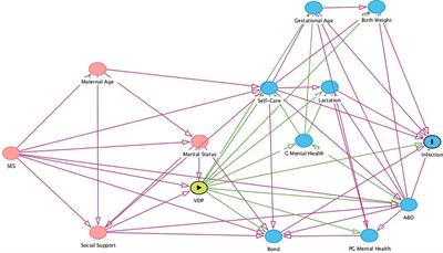 Intergenerational consequences of violence: violence during pregnancy as a risk factor for infection in infancy